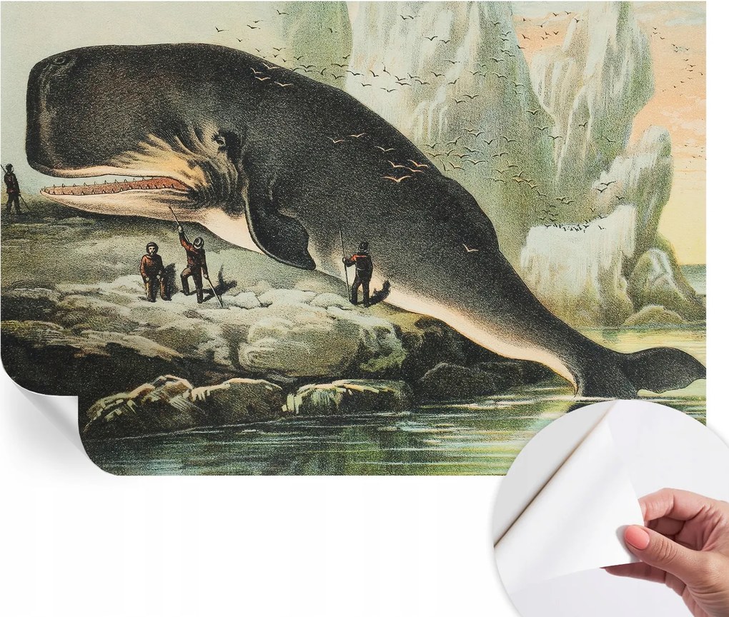 Prémium fali öntapadós fotótapéta Tengeri óriás 104x70 cm