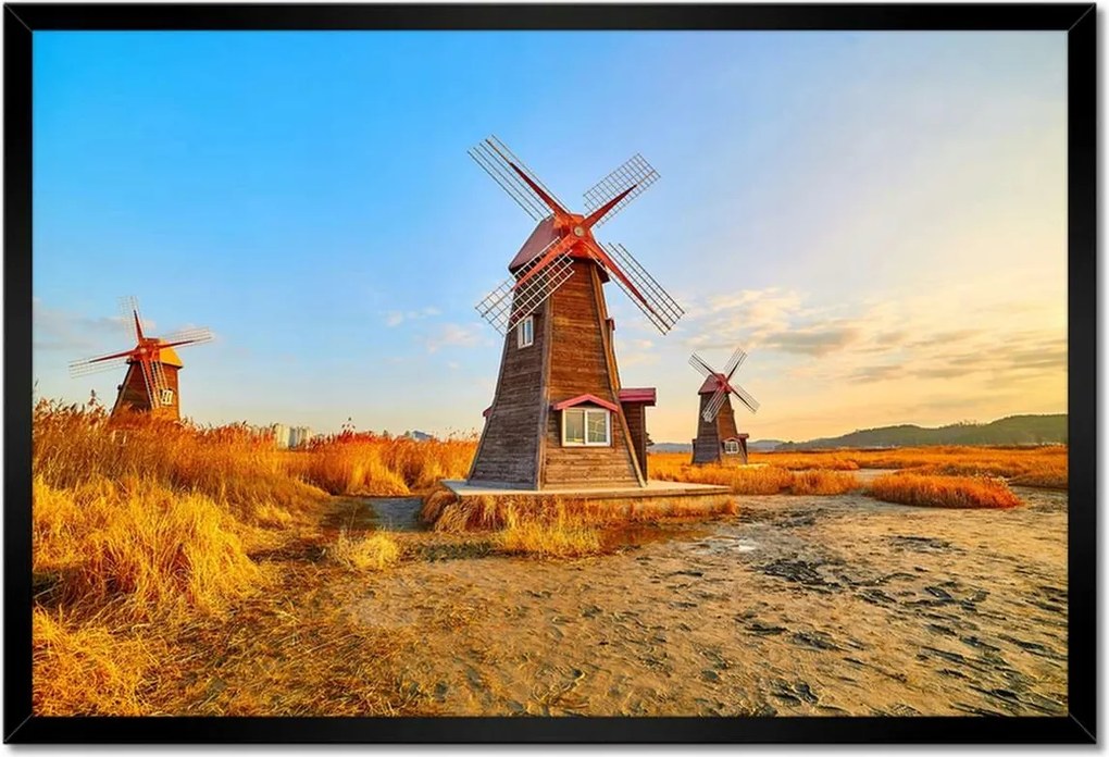 Poszterek keretben 60x40 Fa szélmalom Tájképek