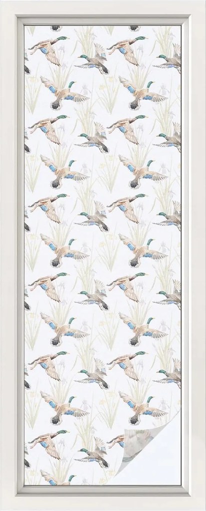 Öntapadós Ablak furnér Adatvédelem Madarak Természet 50x146