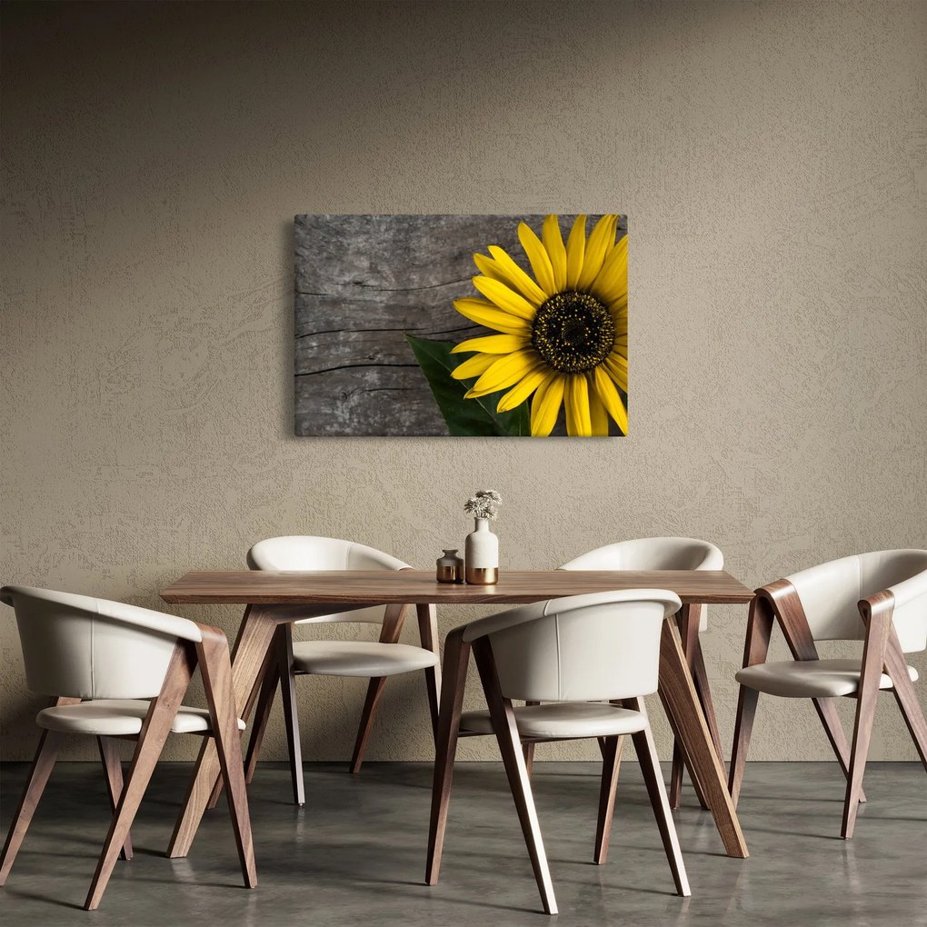 Kép - Napraforgó virága (90x60 cm)