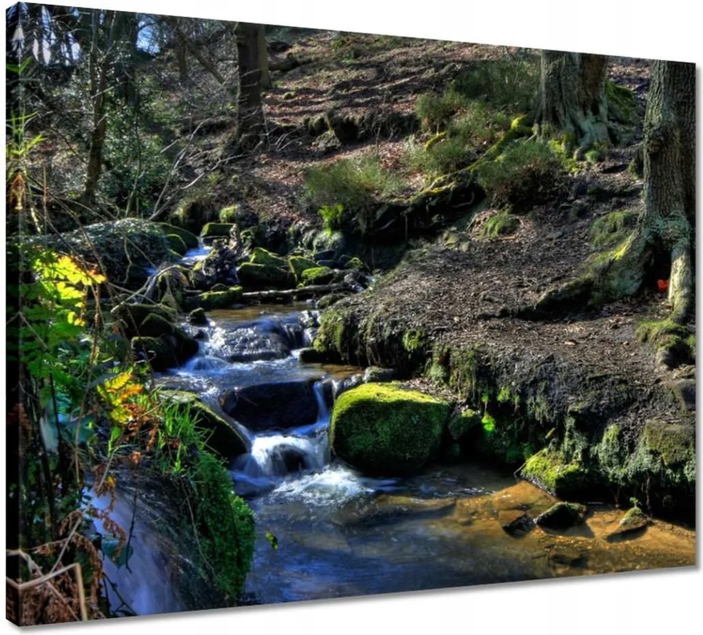 Vászonkép 50x40 Hegyi patak