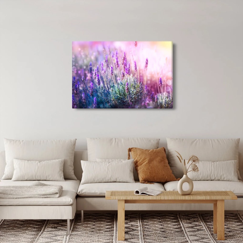 Kép - Levendula a csillogó napban (90x60 cm)