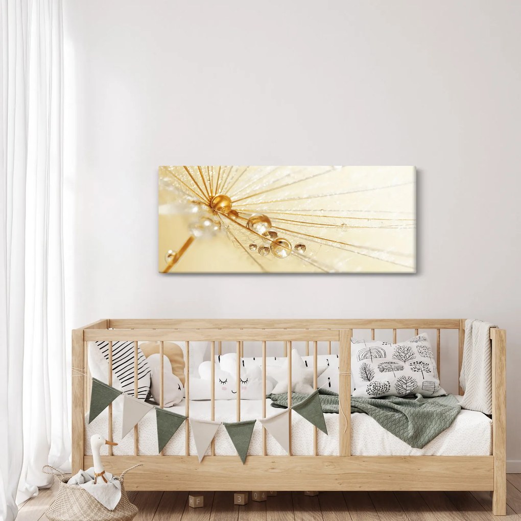 Kép - Makro fotó pitypangról (120x50 cm)