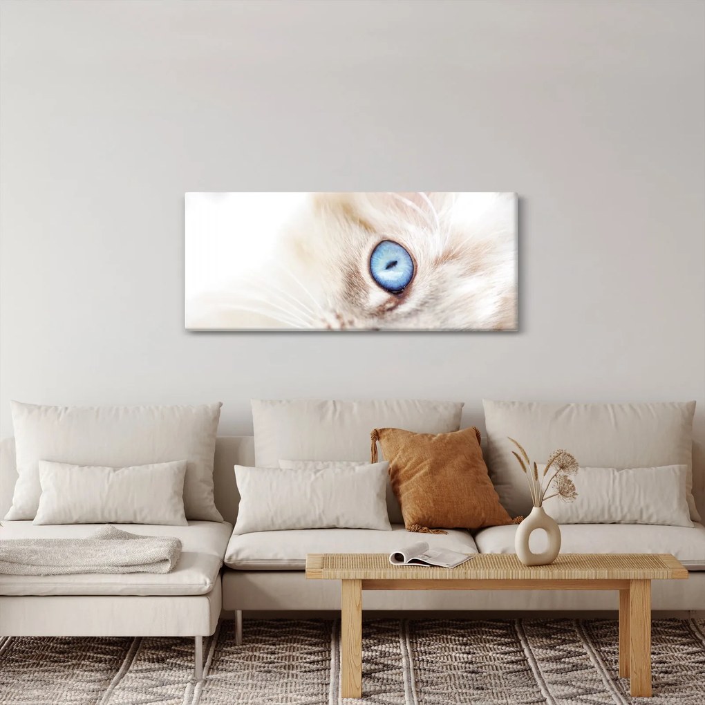 Kép - Cica (120x50 cm)