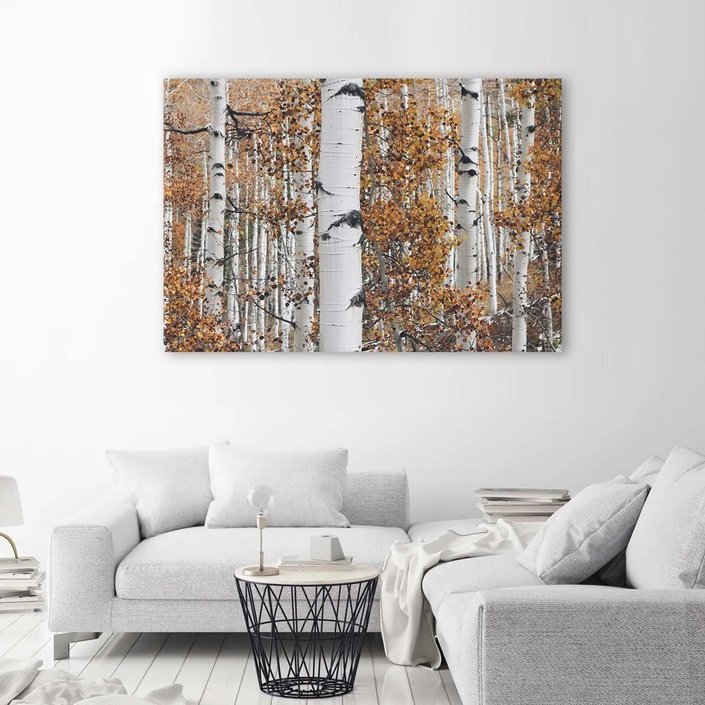 Gario Vászonkép Nyírfák Méret: 120 x 80 cm