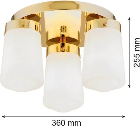 Argon PASADENA 6165 Süllyesztett mennyezeti lámpa 3x15W/E27 IP44