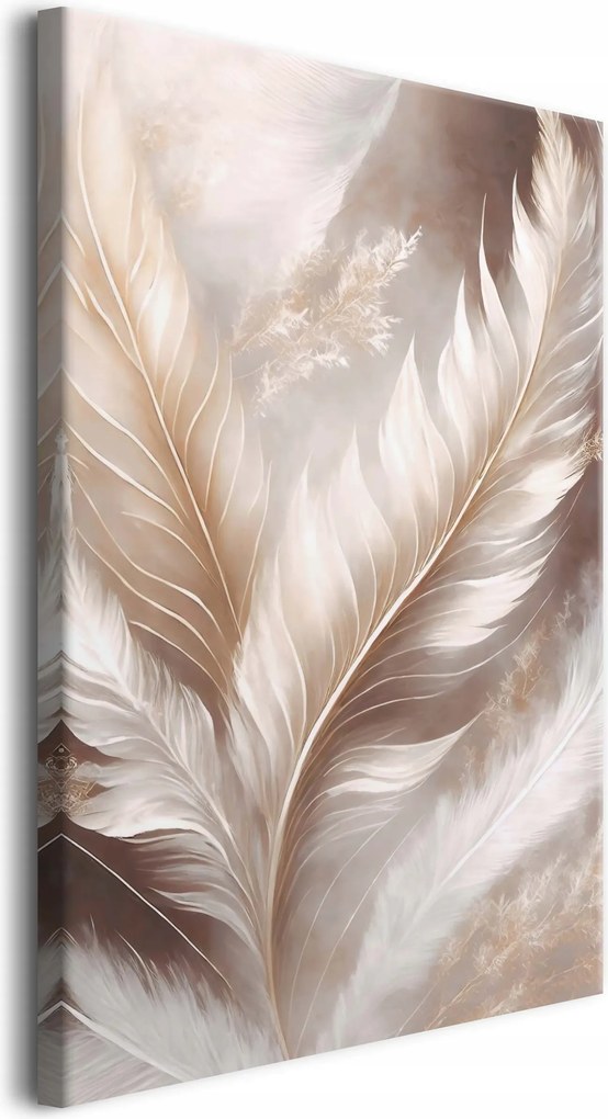 Vászonkép faliképek a nappaliba Bézs tollak boho elegáns