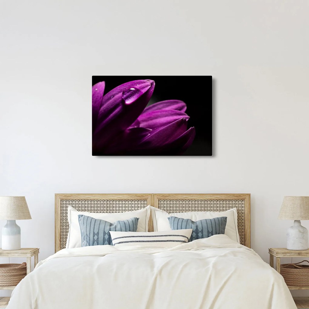 Kép - Vízcsepp (90x60 cm)