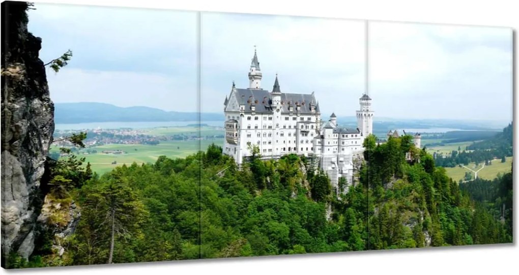 Festmények 120x60 Neuschwanstein kastély