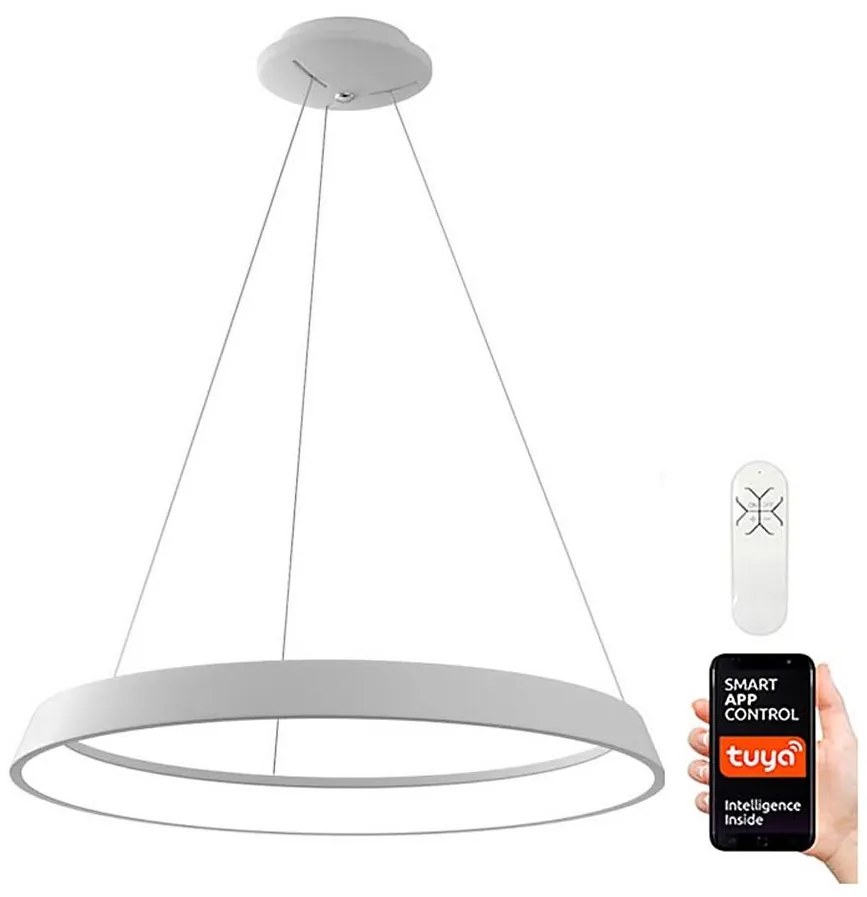 Immax NEO 07079L - LED dimmelhető lámpa 60 cm, 39W, 230V, távirányítóval