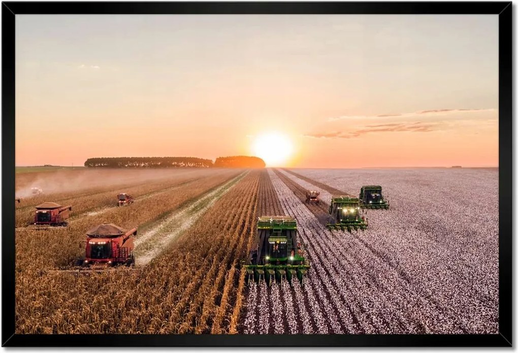 Poszterek keretben 60x40 Aratás Mezőgazdaság Kombájn