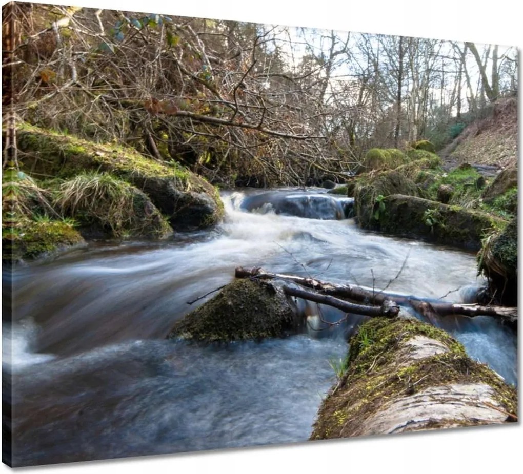 Vászonkép 50x40 Okos hegyi folyó