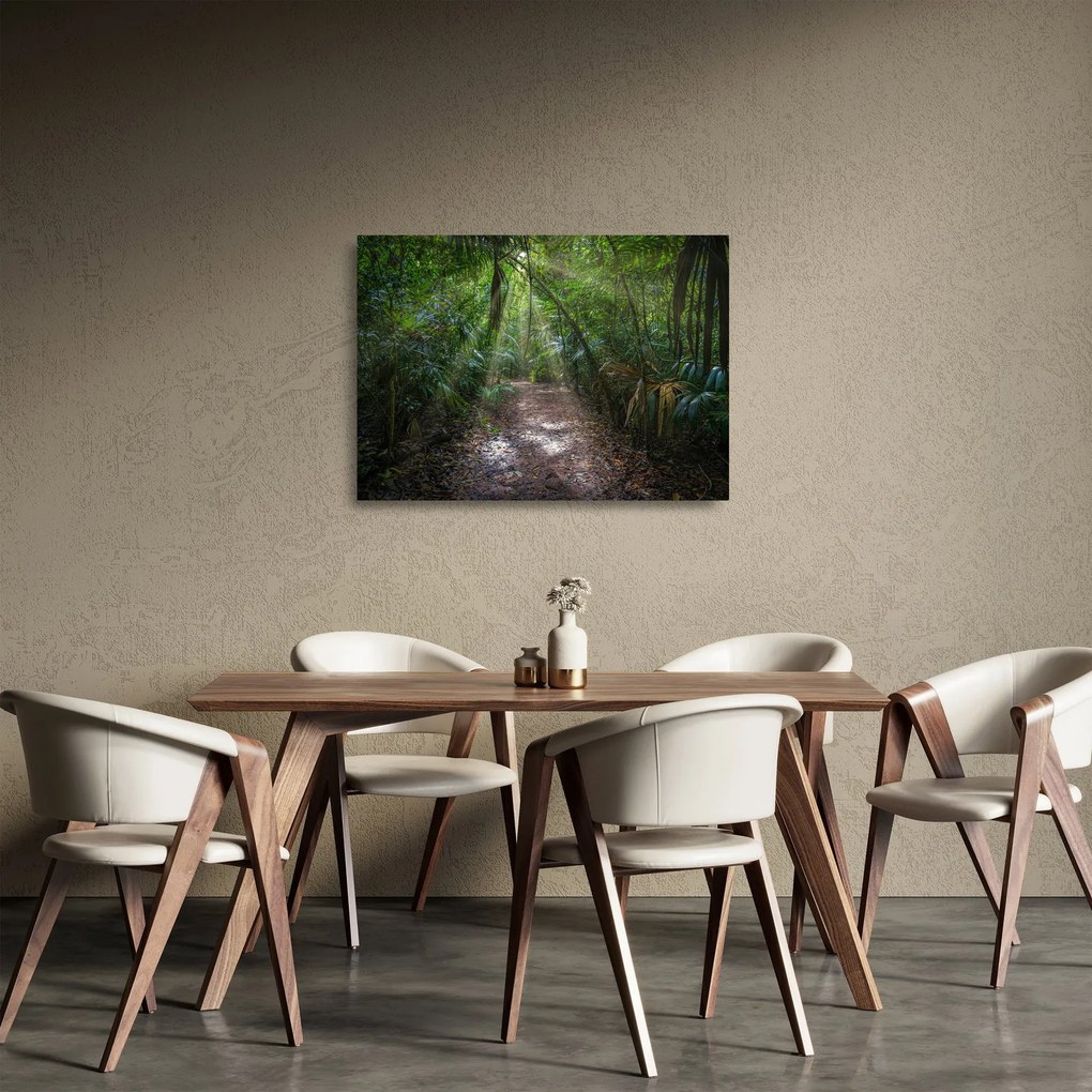 Kép - Napsugarak a dzsungelben (üvegen) (70x50 cm)