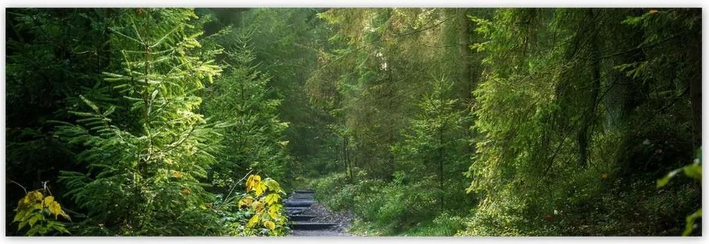 Poszterek 200x66 Tájkép