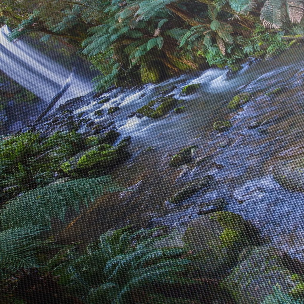 Ausztrál esőerdő képe (70x50 cm)