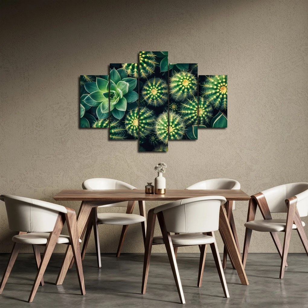 Kép - Kaktuszok (150x105 cm)