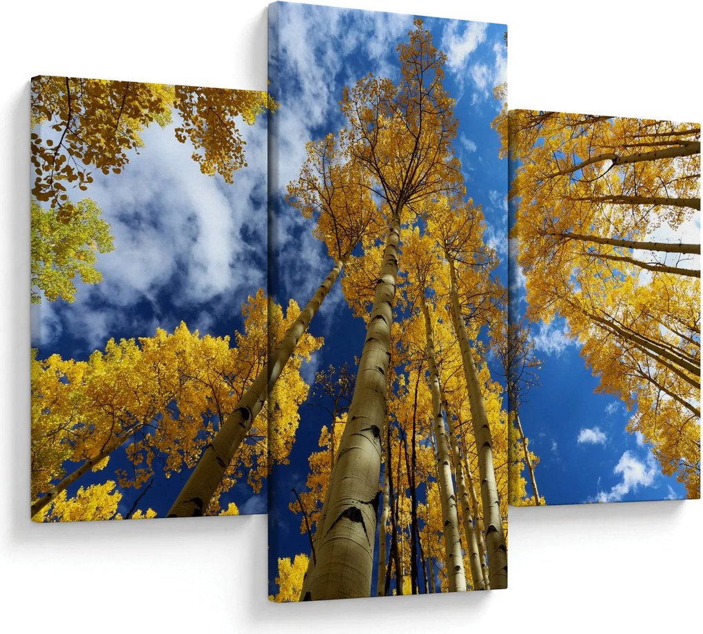 Kép - Aspen (90x60 cm)