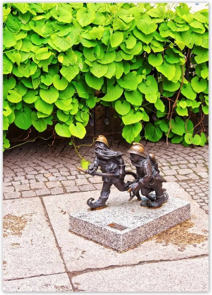 Poszterek 50x70 Törpék Tűzvészek Boroszló