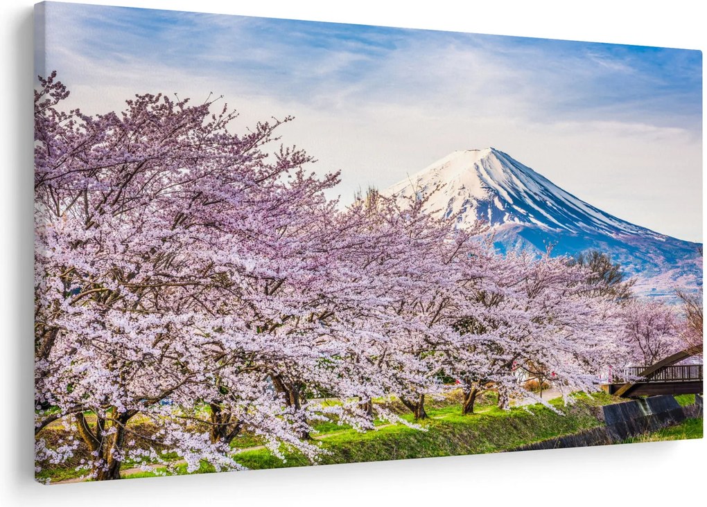 Kép - Japán tavasszal (90x60 cm)