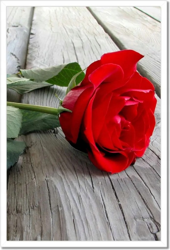 Poszterek keretben 40x60 Rózsa a deszkákon