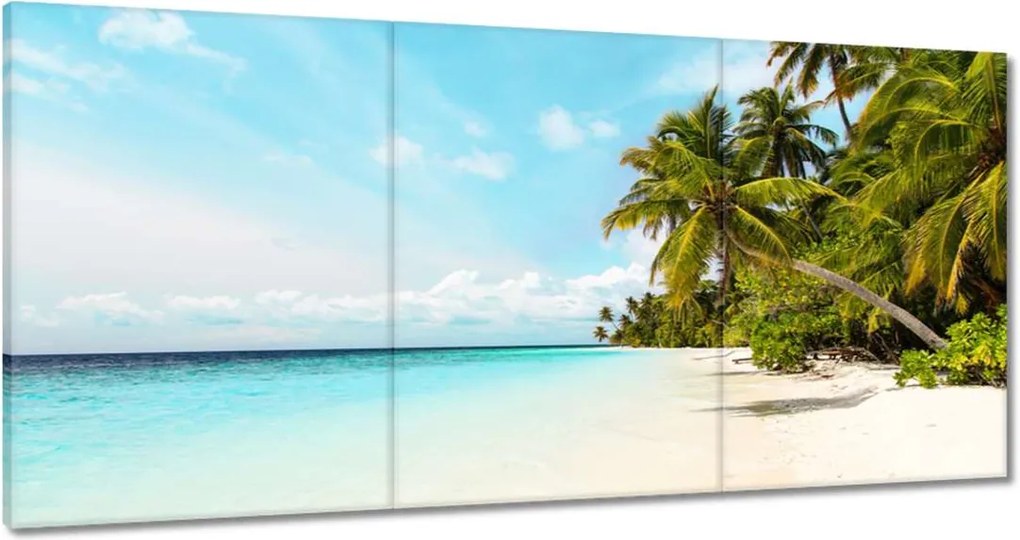 Vászonkép 60x30 Trópusok Tájkép Pálmafák