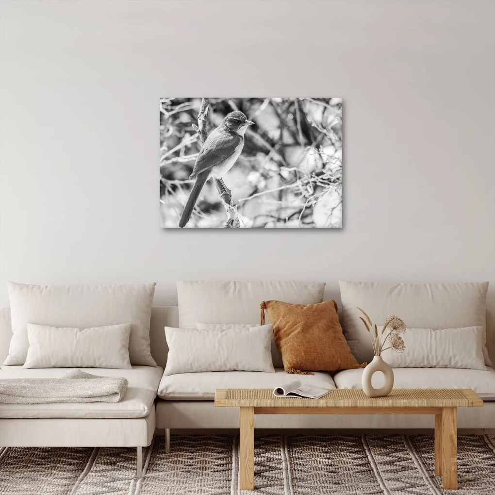 Kép - Kék madár télen (70x50 cm)