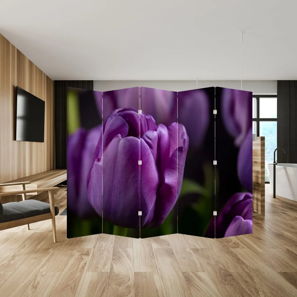 Paraván - Tulipán vírága (210x170 cm)