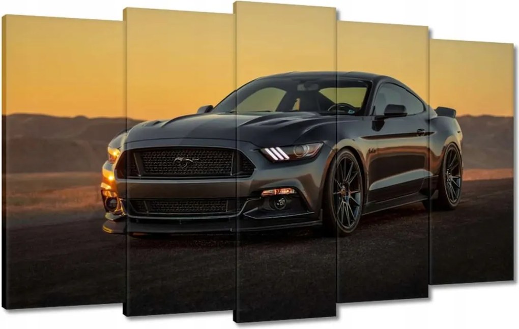 Képek 100x60 Ford Mustang made in Usa