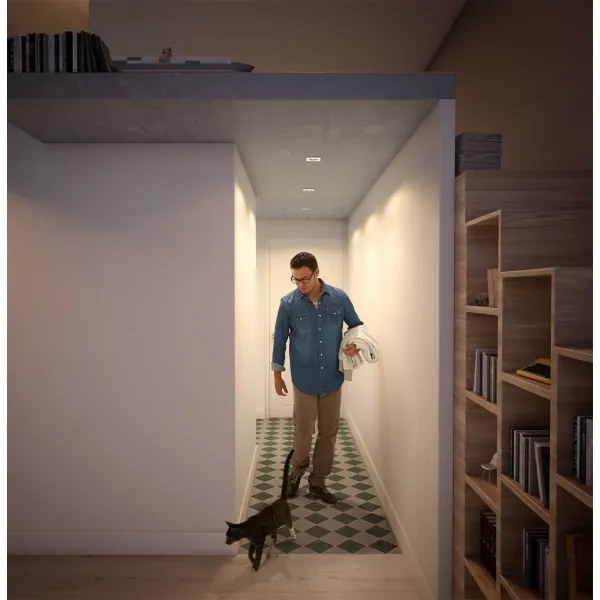 Philips 50393/11/P0 - KÉSZLET 3xLED Szabályozható lámpa SHELLBARK LED/4,5W/230V