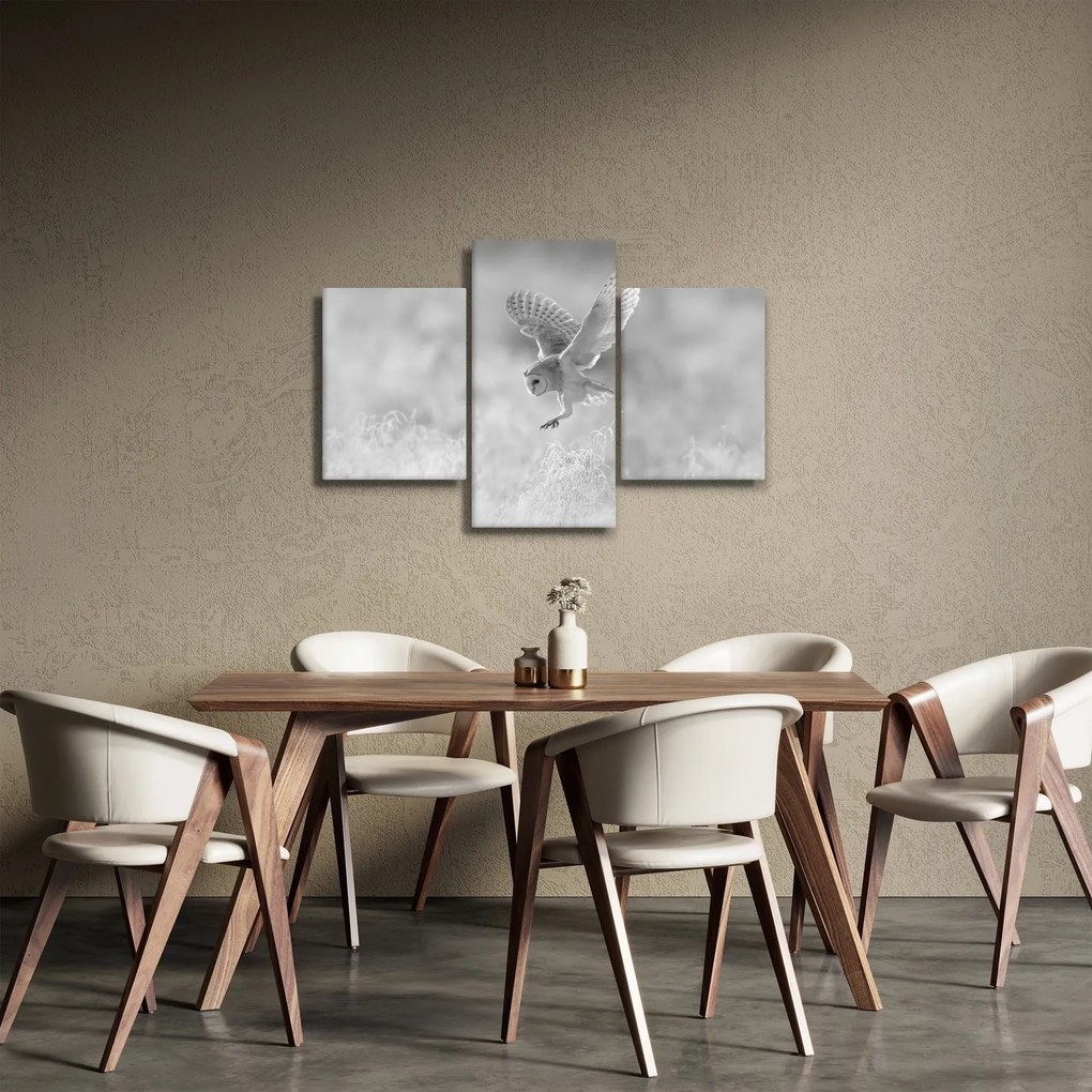 Kép - Bagoly a mezőn (90x60 cm)