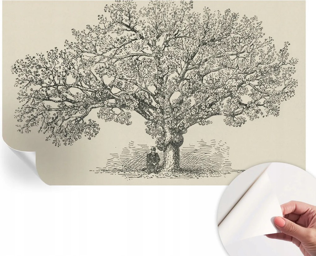 Öntapadós fali fotótapéta Hálószobába Fa illusztráció 416x254 cm