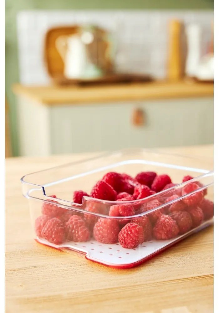 Műanyag hűtőszekrény rendszerező Cauma – Rotho