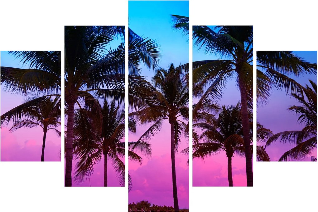 Kép - Pálmafák Miamiban (150x105 cm)
