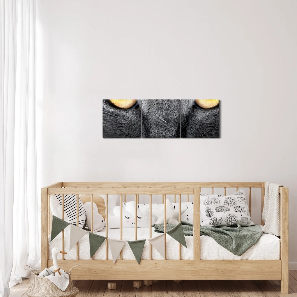 Kép - Közeli portré egy macskáról (órával) (90x30 cm)