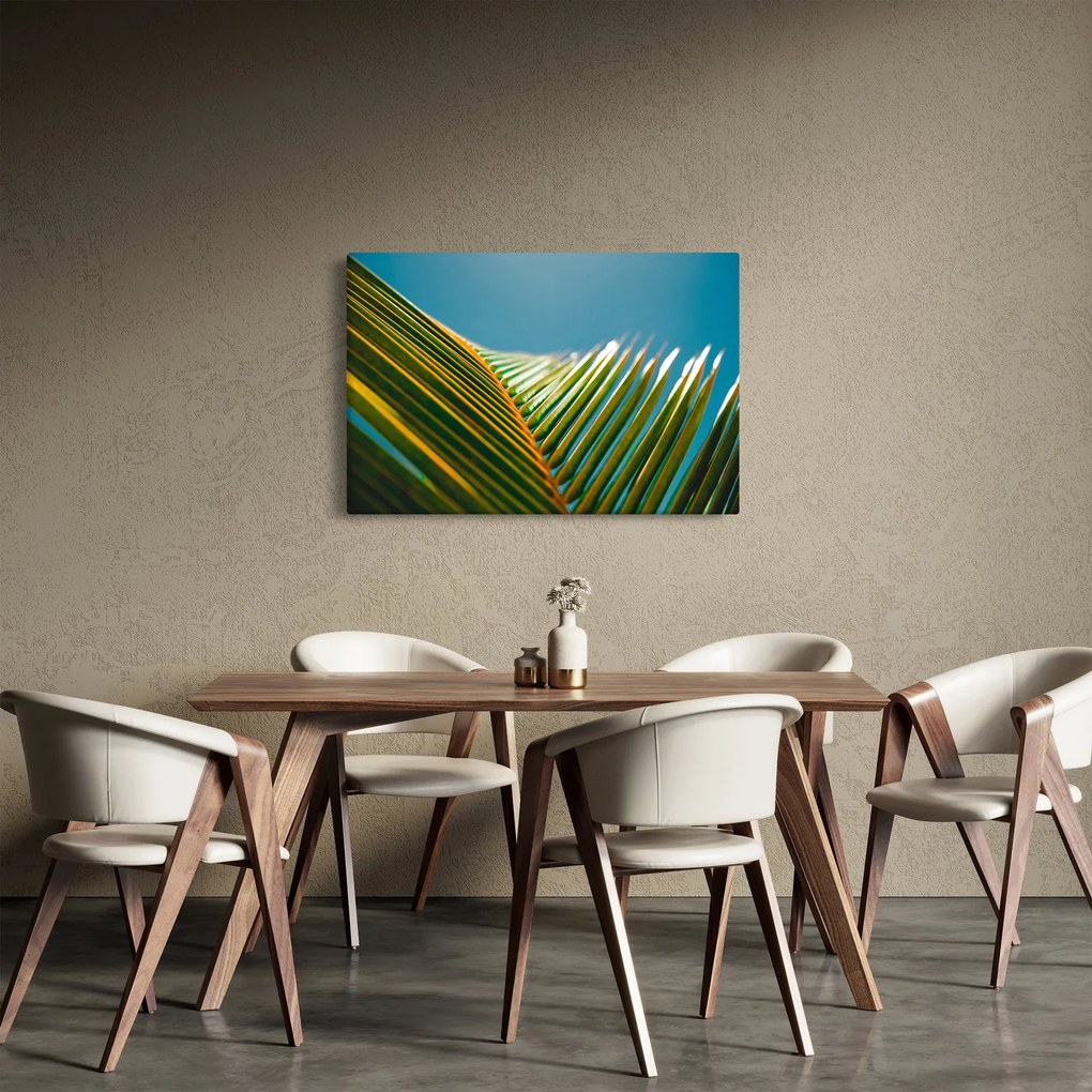 Kép - A pálmalevél részlete (90x60 cm)