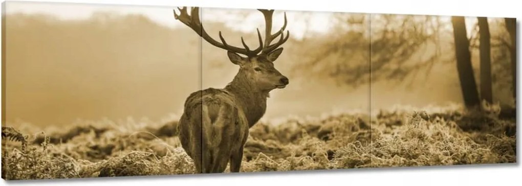 Vászonkép 120x40 Szarvas az erdőben