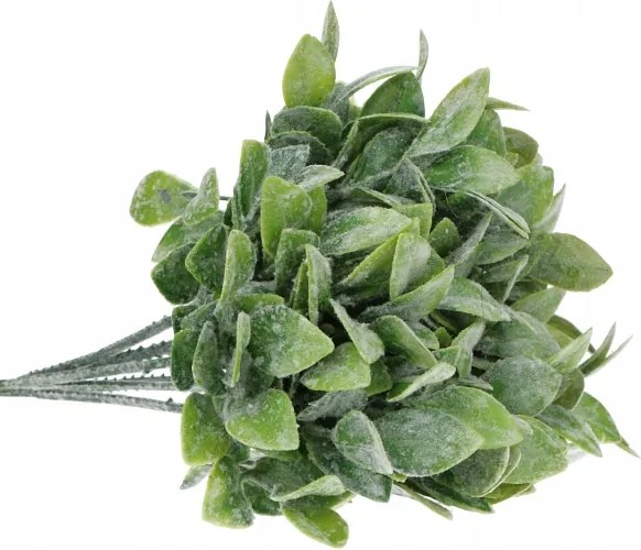 Puszpáng ág olajzöld sűrű 20cm