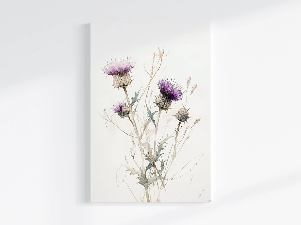 Poszter Akvarell Természet Lila Bogáncs Virág Rét 80x120