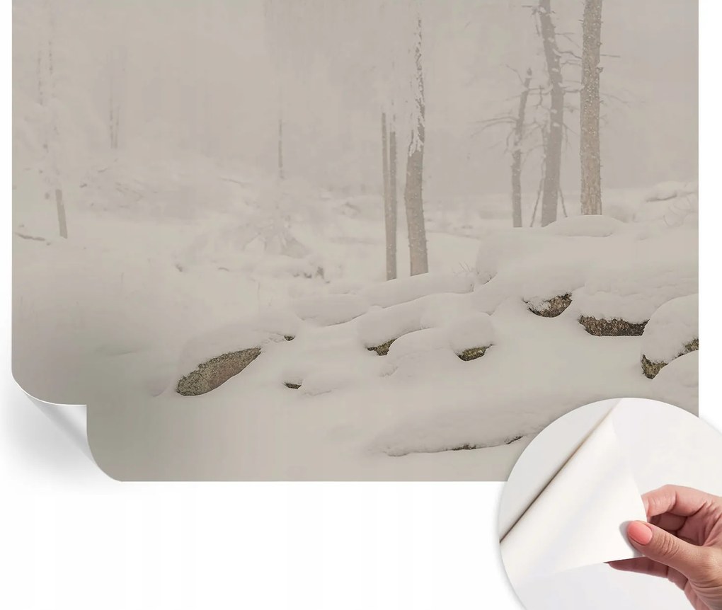 Fotótapéta Dekoratív Fali Tapéta Fotók Hóerdő 312x219
