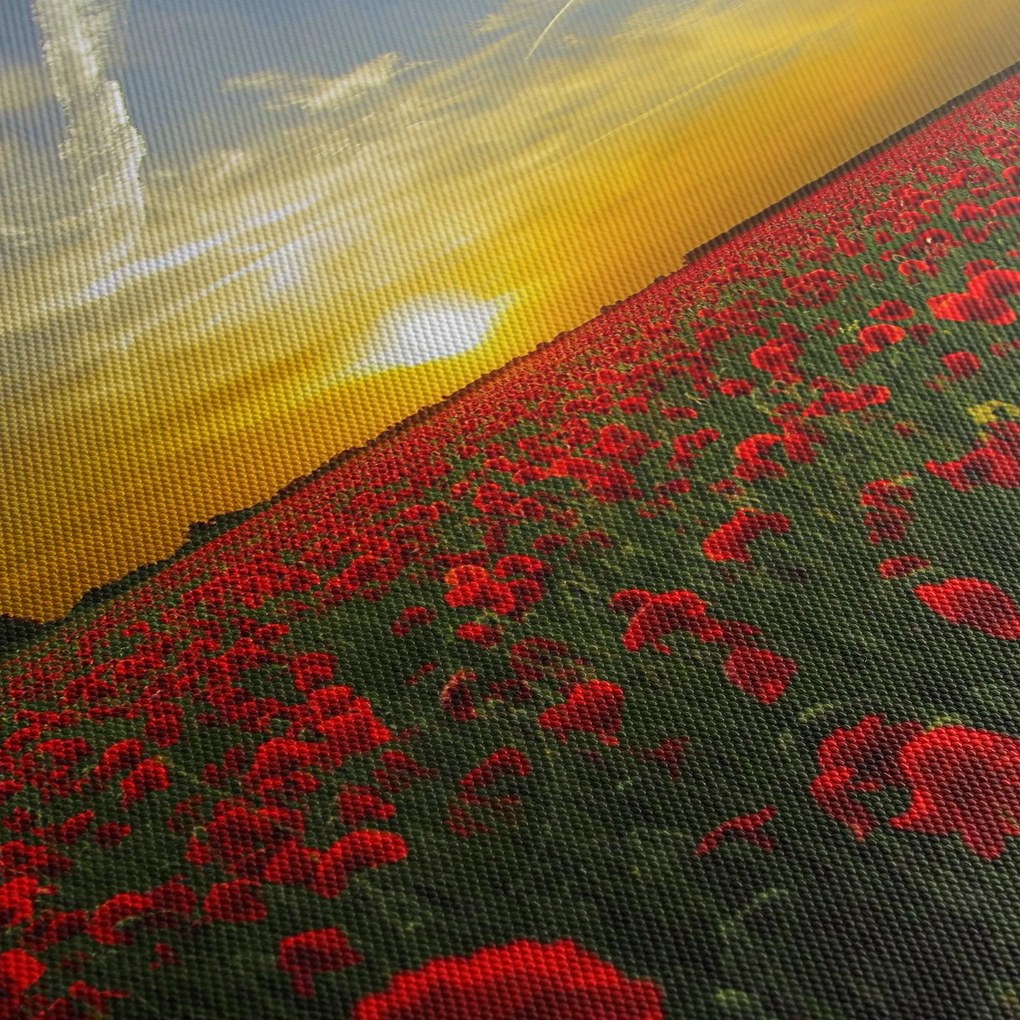 Egy kép a pipacs mezőről (120x50 cm)