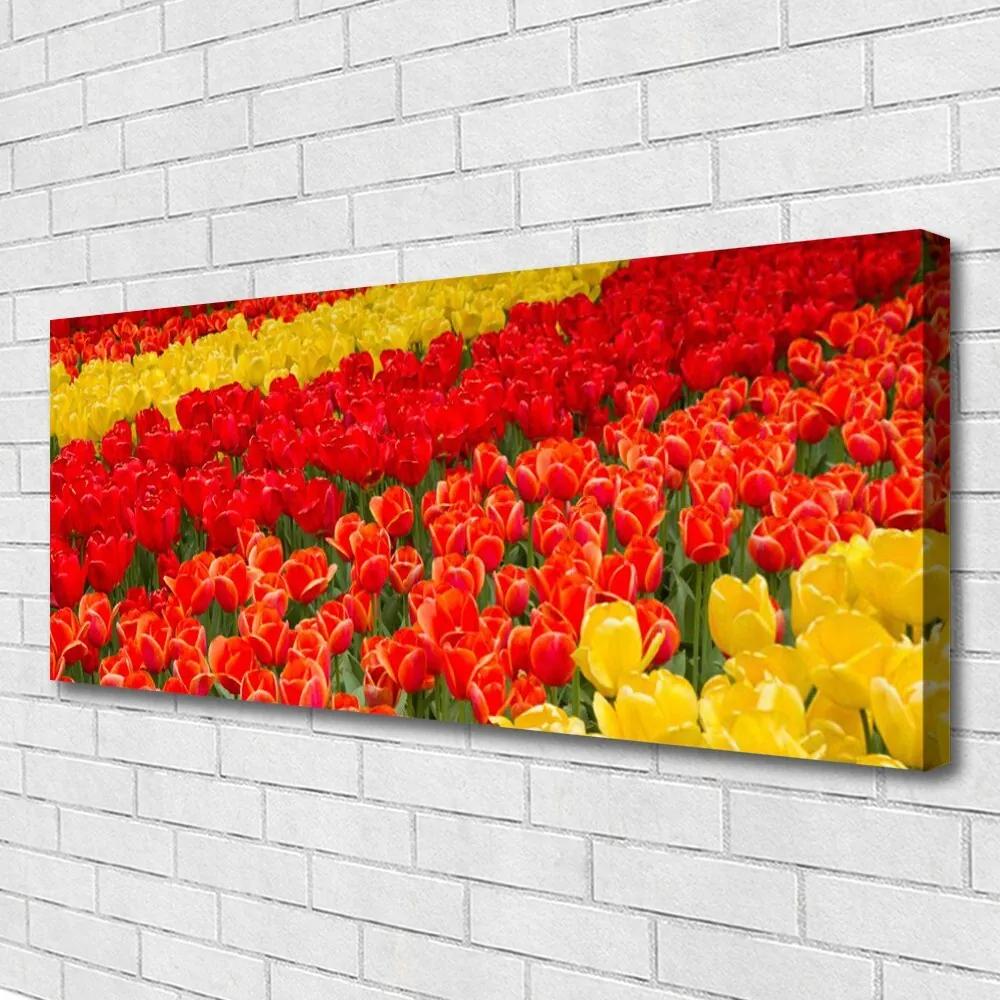Vászonfotó tulipán virágok 125x50 cm