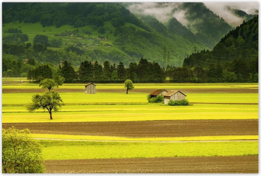 Poszterek 120x80 Zöld őzek
