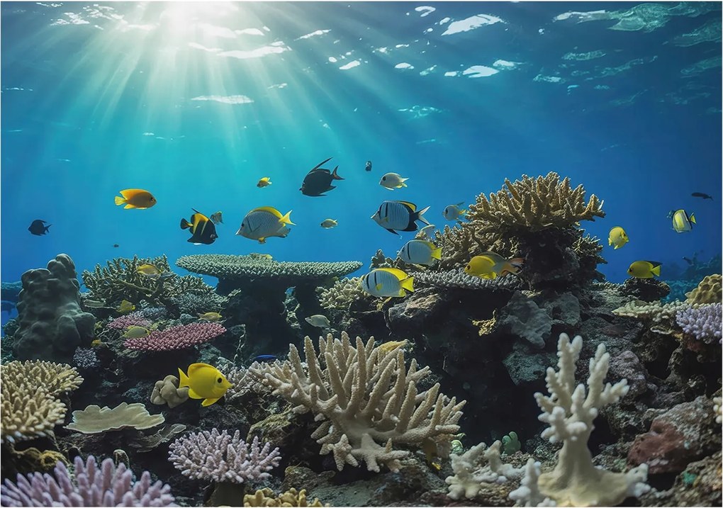 Stílusos Dekoratív Fotótapéta Flizelin Víz alatti világ 312x219 Ragasztó