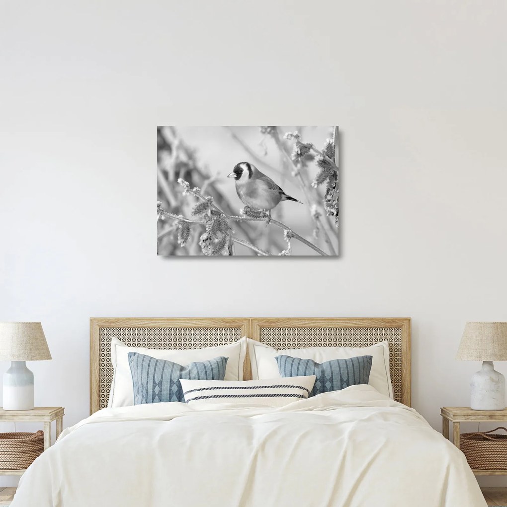 Üveg kép - Egy madár télen (70x50 cm)