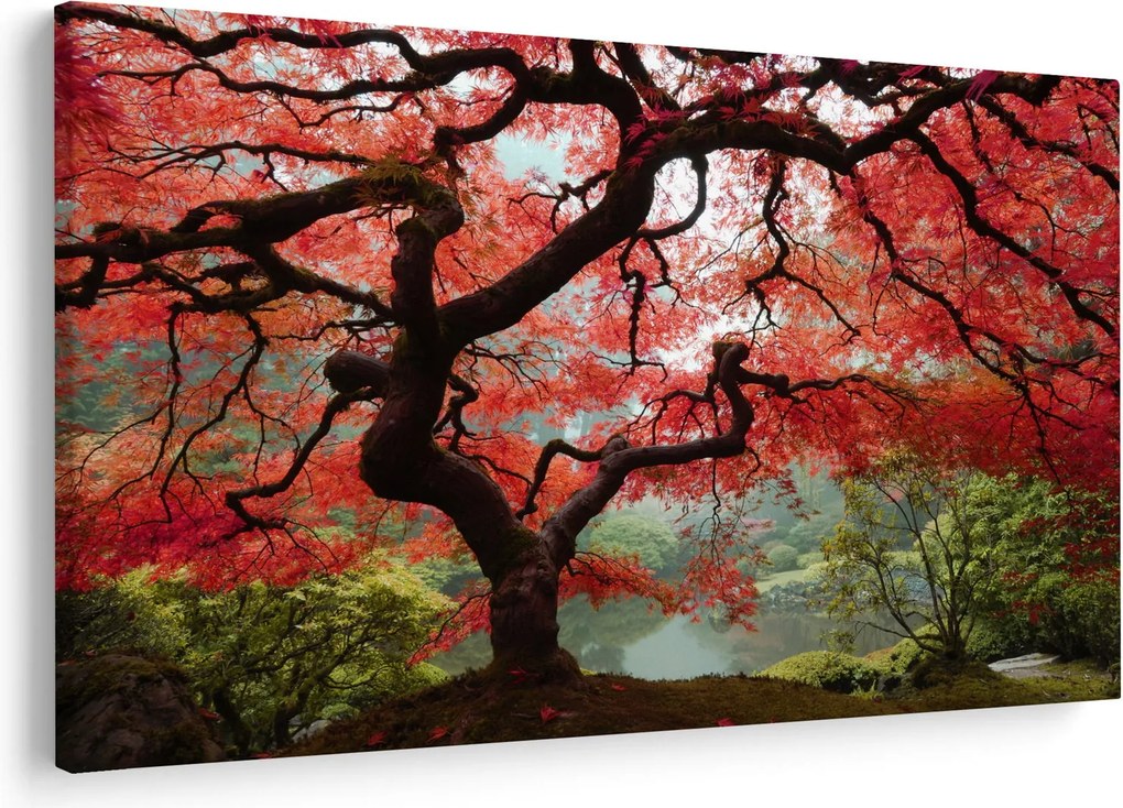 Red Japanese Maple, Portland, Oregon képe (90x60 cm)