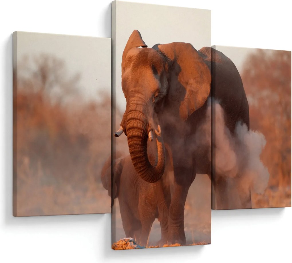 Kép - Nagy afrikai elefánt (90x60 cm)
