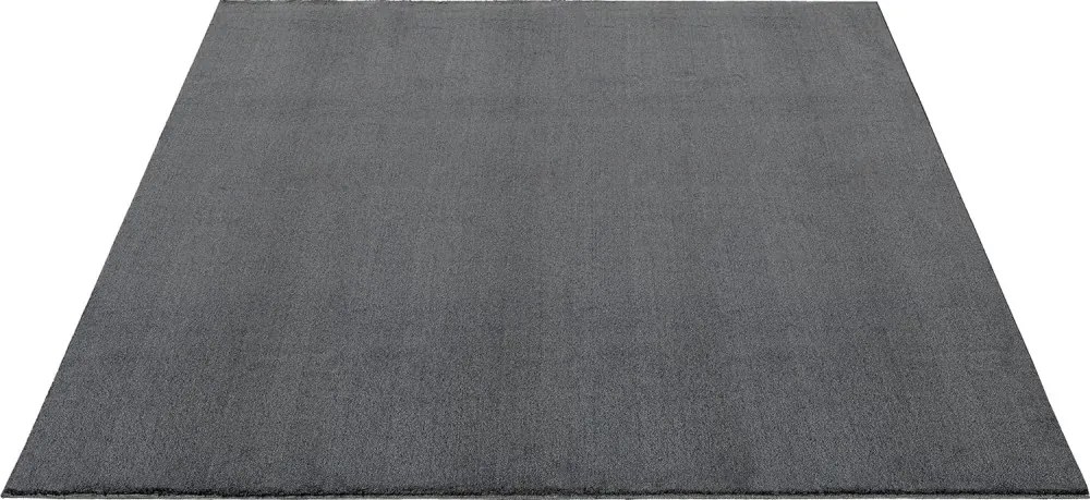 Szürke plüss shaggy szőnyeg, 200x290cm, Star Shaggy
