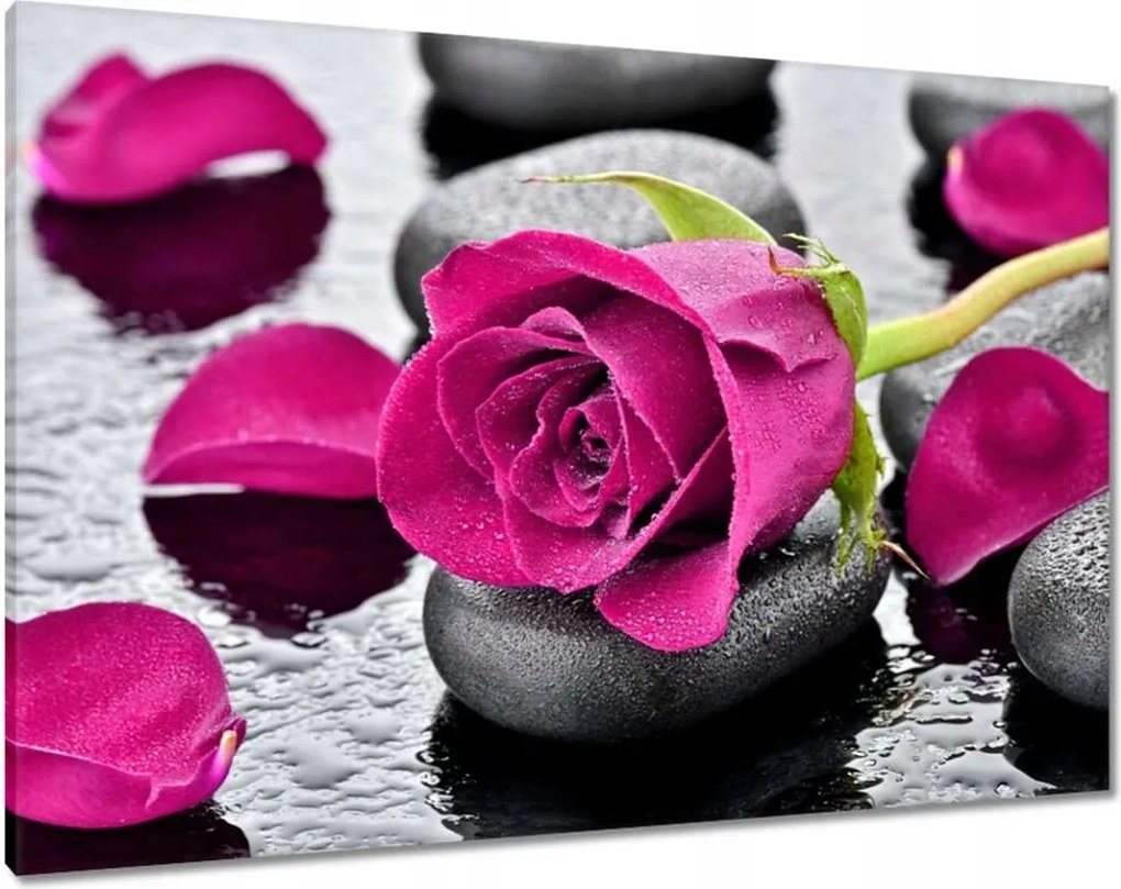 Vászonkép 100x70 Rózsaszín rózsa köveken
