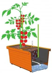 Plastia Berberis DUO öntöző virágláda, csokoládé, 78 cm