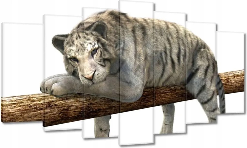 Vászonkép 140x80 Fehér tigris a gerendán